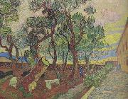 Vincent Van Gogh, The Garden of Saint-Paul Hospital (nn04)